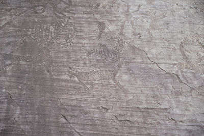 Full frame shot of weathered wooden floor