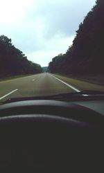 Road passing through trees