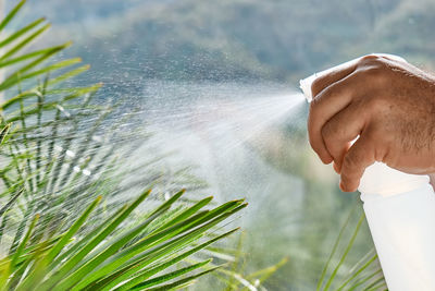 Man is spraying clean water, liquid fertilizer on plants in flower store or home garden.home garden. 