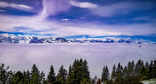 scenics - nature