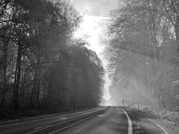 Road amidst trees in forest