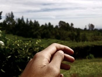 Cropped hand of person against trees and sky