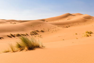 Scenic view of desert against clear sky