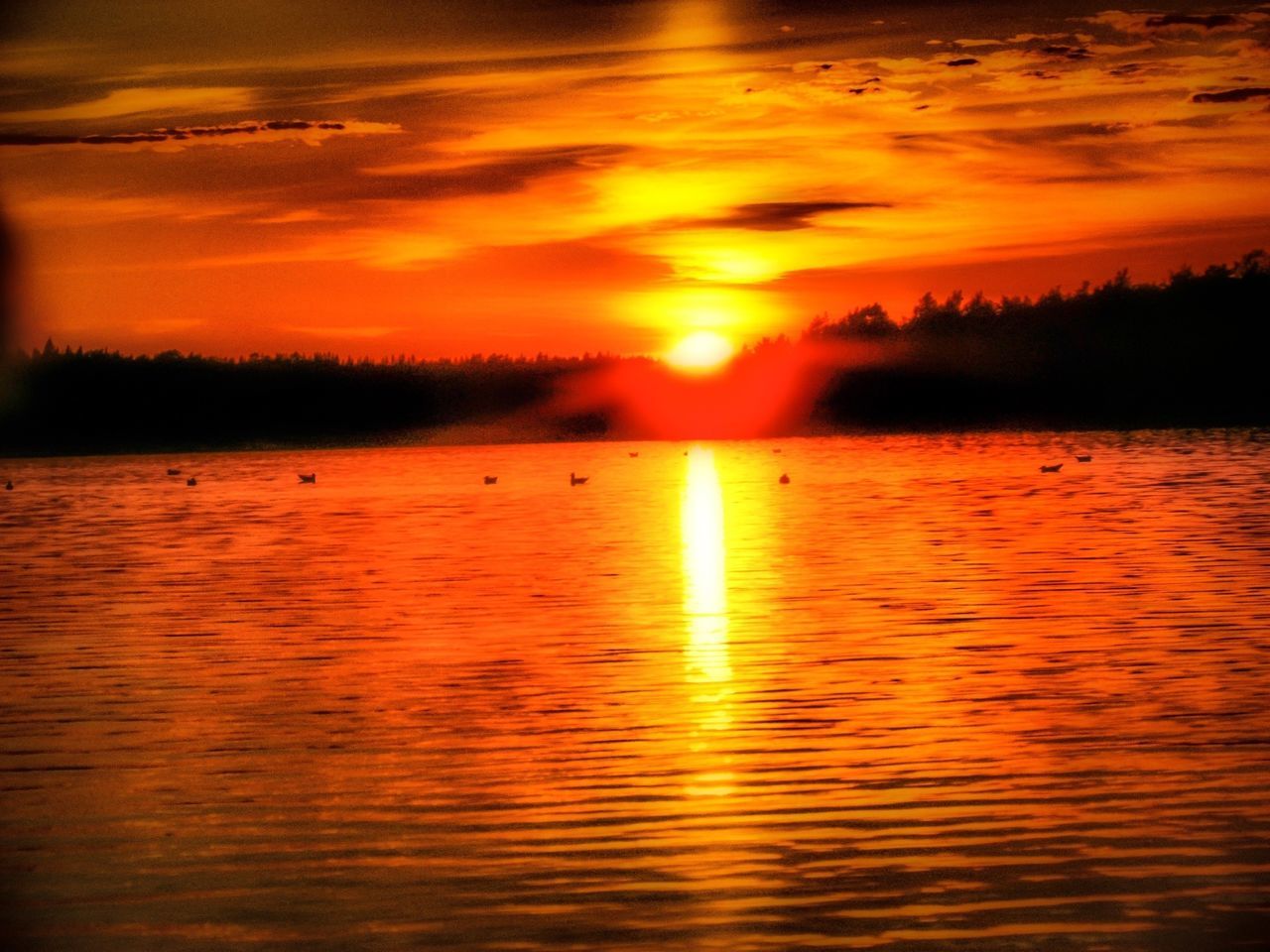 sunset, water, bird, reflection, sun, orange color, animal themes, tranquil scene, scenics, beauty in nature, animals in the wild, lake, wildlife, tranquility, silhouette, sky, waterfront, nature, idyllic, rippled