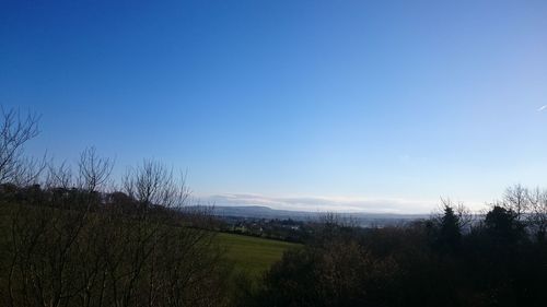 Scenic view of landscape against clear blue sky