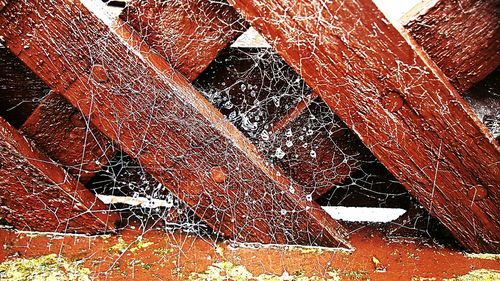 Full frame shot of damaged leaf