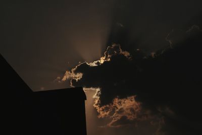 Low angle view of silhouette plants against sky at night