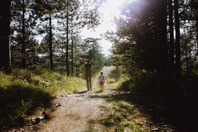 Mother and child walking in the pine forest on a tranquil sunny day.