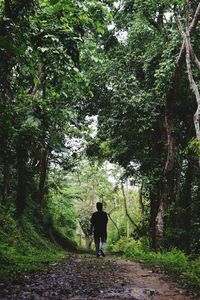 Rear view of man walking on footpath in forest