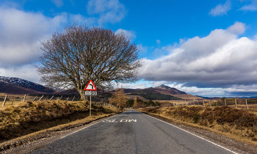 Empty road amidst bare trees against sky