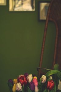 Close-up of flowers