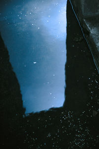 Reflection of trees in puddle