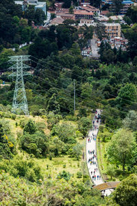 High angle view of trees