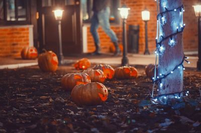 Close-up of pumpkins during autumn