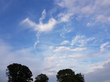 Low angle view of trees against blue sky