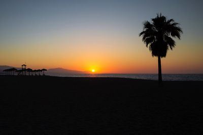 Silhouette palm trees on beach against sky during sunset