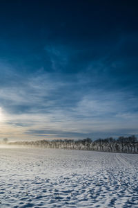 Trees in frosty landscape with rime frost, denmark