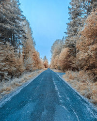 Surface level of road amidst trees against clear sky