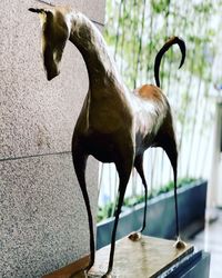 Close-up of horse statue