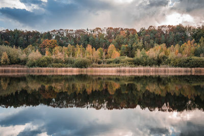 Reflection of trees in lake against sky