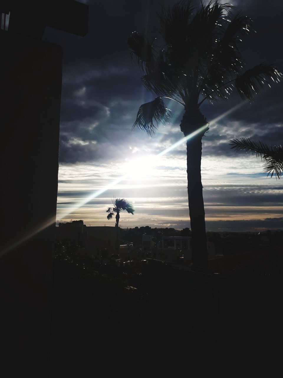 SILHOUETTE PALM TREES AGAINST SKY