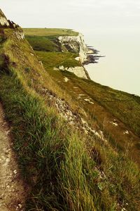 Scenic view of grassy field against sky