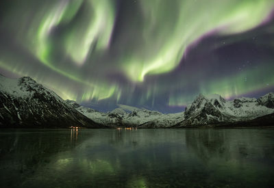 Scenic view of northern lights against sky at night