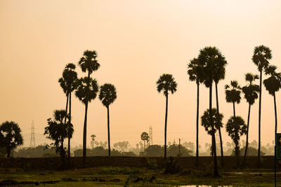 Silhouette palm trees on field against sky during sunset