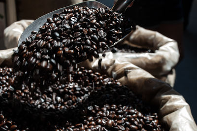Cropped hand of man holding roasted coffee beans