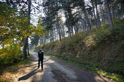 Rear view of man walking on road