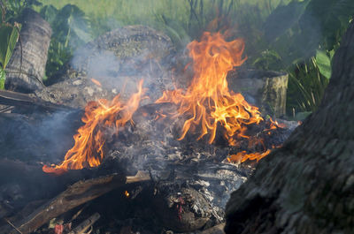 Close-up of bonfire