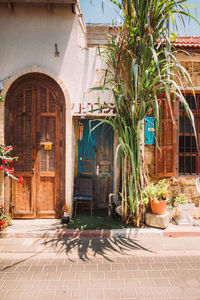 Potted plants on sidewalk by building