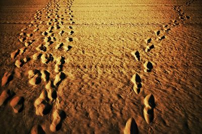 High angle view of footprints on sand