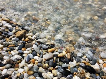 Full frame shot of pebbles at beach