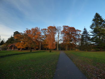 Trees in grass against sky