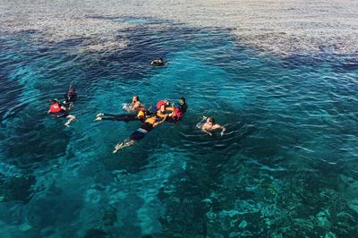 High angle view of people swimming in sea