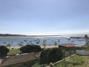 High angle view of plants by sea against sky