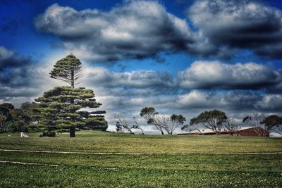 Scenic view of grassy field against cloudy sky