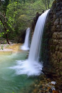 Scenic view of waterfall in forest