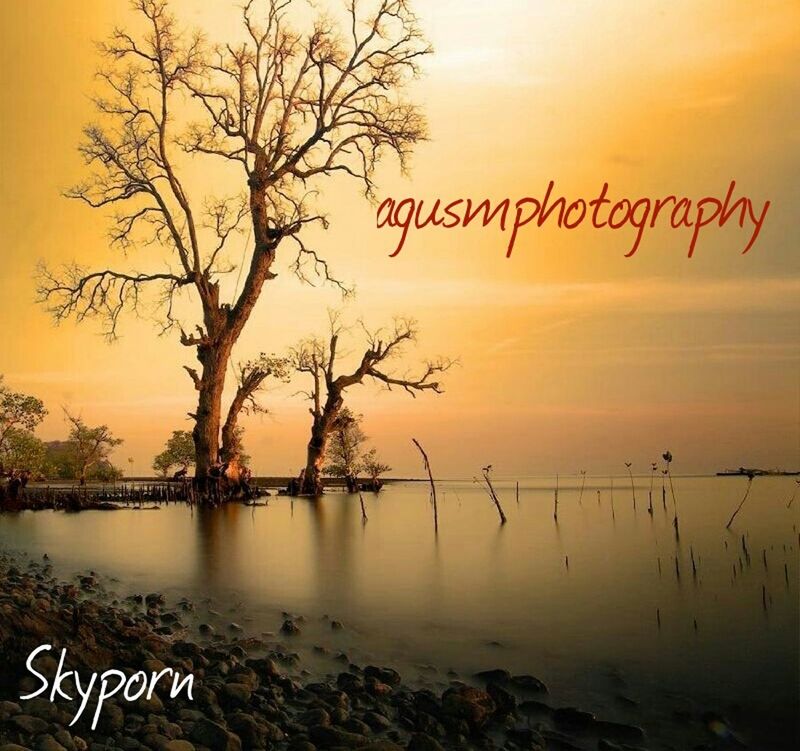 sunset, text, water, tranquility, tranquil scene, scenics, sky, bare tree, western script, beauty in nature, nature, communication, orange color, reflection, tree, idyllic, lake, branch, sea, outdoors