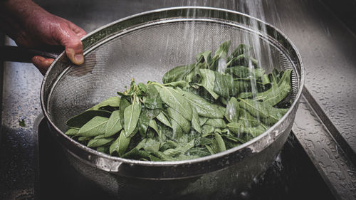 High angle view of hand holding leaves in bowl