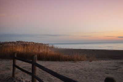 Scenic view of beach against cloudy sky