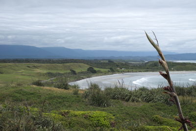 Scenic view of landscape against sky