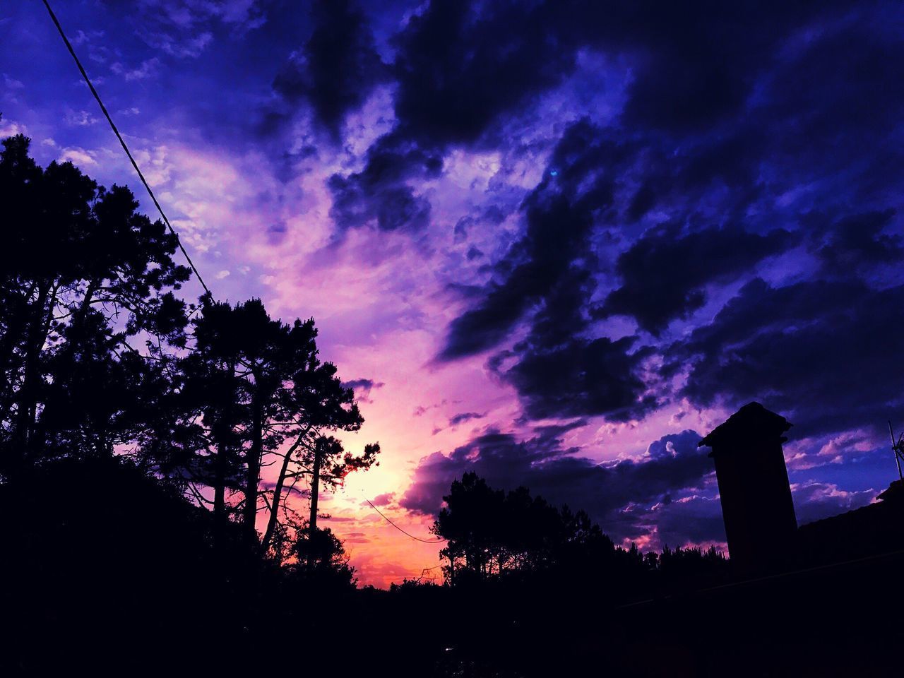 LOW ANGLE VIEW OF SILHOUETTE TREE AGAINST SKY