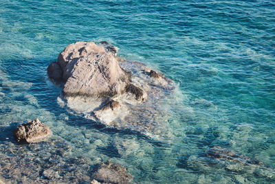 High angle view of crab in sea