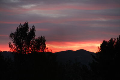 Silhouette trees against sky at sunset