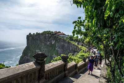 People by railing against trees and sea against sky