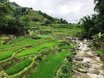 Scenic view of landscape against sky