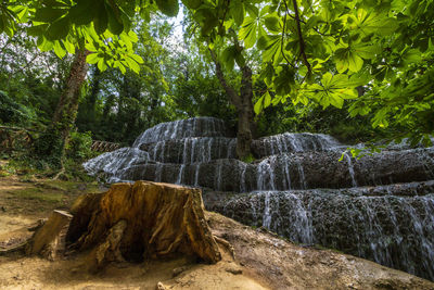 Scenic view of waterfall in forest