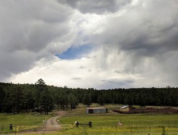 Panoramic shot of trees on field against sky